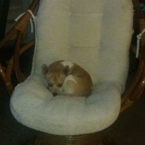 Meet your Posher, Christina